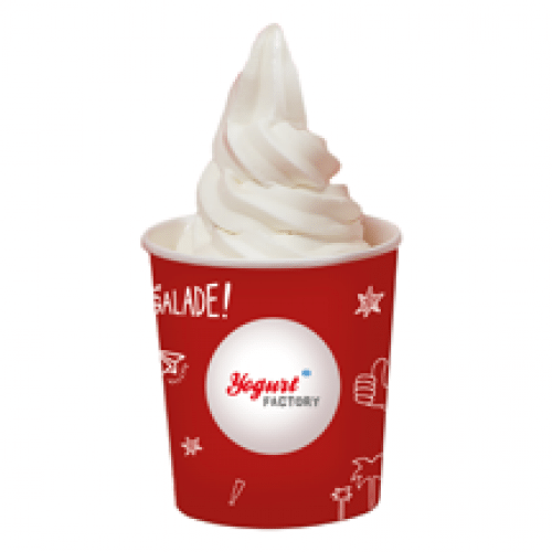 Pot de yaourt glacé superbe 500ml