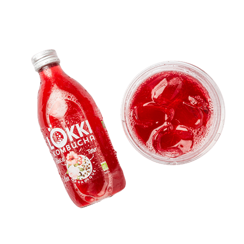 Kombucha lokki hibiscus & timur berry