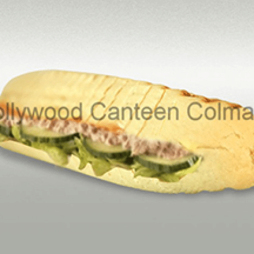 Panini thon