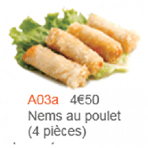 Nems au Poulet x4