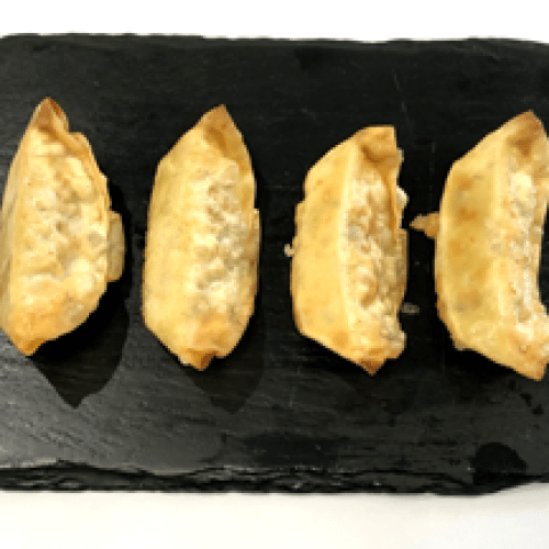 Gyoza Légume x4