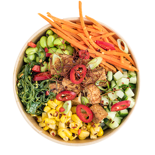 Pokébowl vega