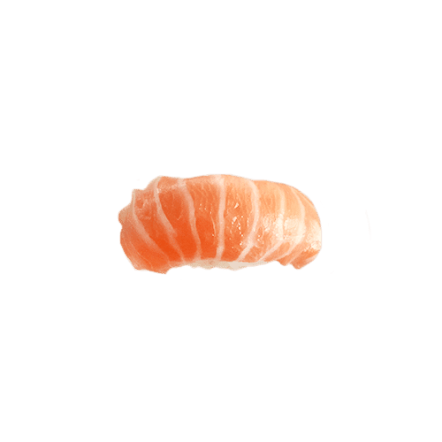 Sake nigiri