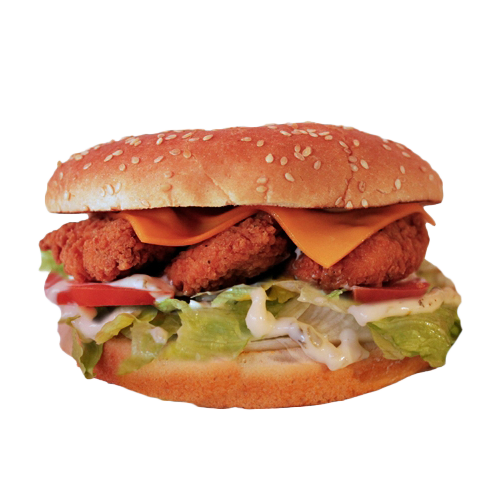 American filet burger