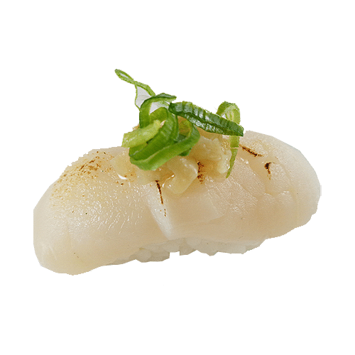 Nigiri flambé hotategai