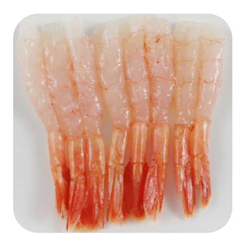 Amaebi sashimi