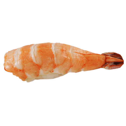Nigiri ebi
