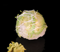 Temari avocado