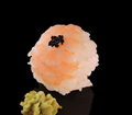 Temari ebi