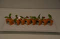 Crispy salmon skin in creamcheese