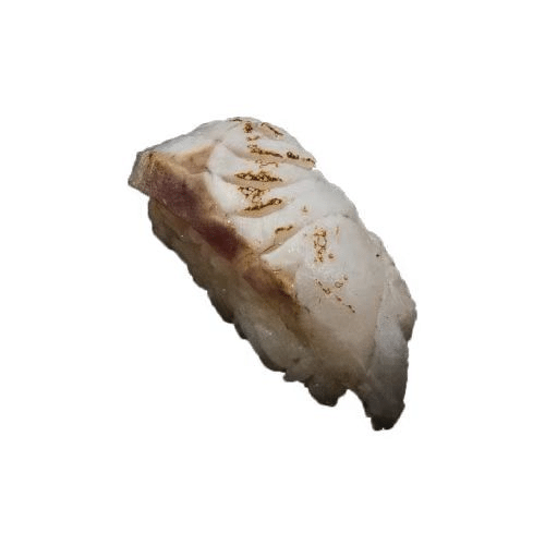 Flamed suzuki nigiri