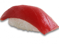 Nigri maguro