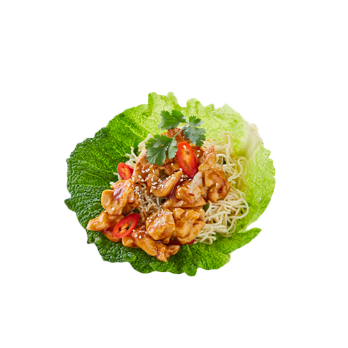 Kip teriyaki met wok noodles