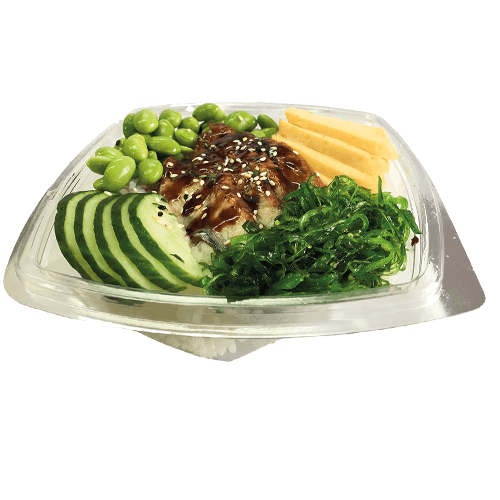 Coach unagi bowl