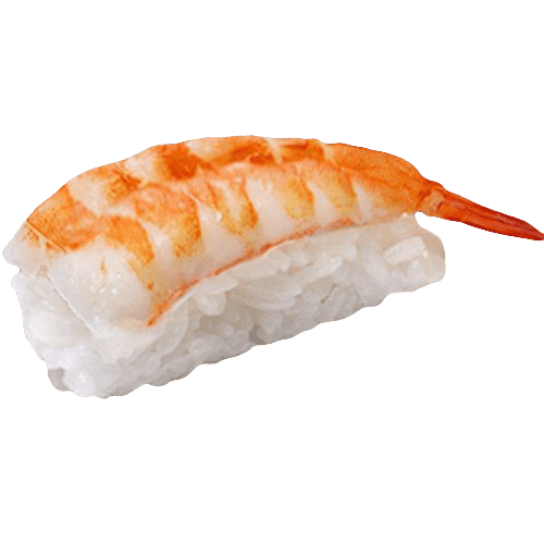 Nigiri ebi