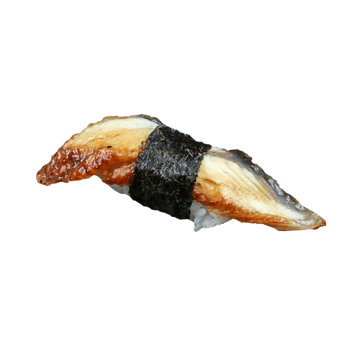 Nigiri eel