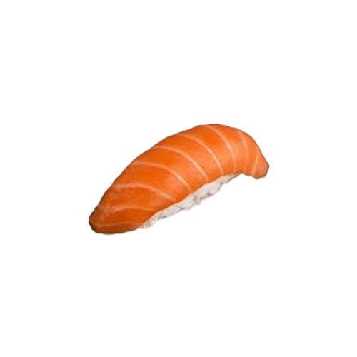 Nigiri zalm