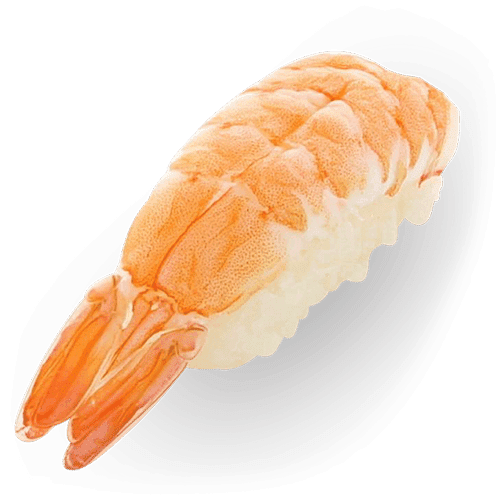 Shrimp nigiri