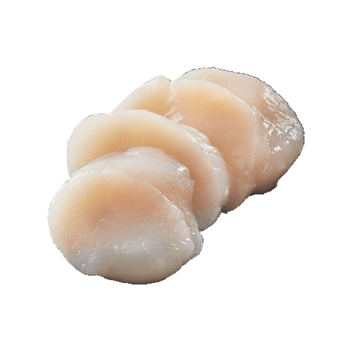 Sashimi hotate