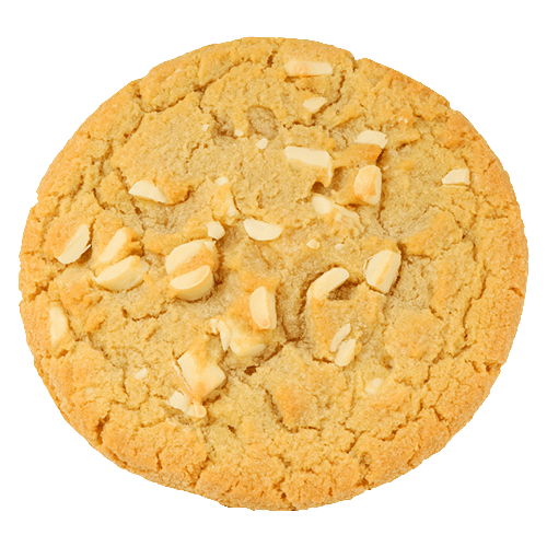 White chocolate chip cookie XL