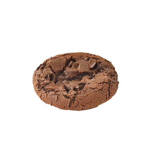 Vegan double chocolate cookie