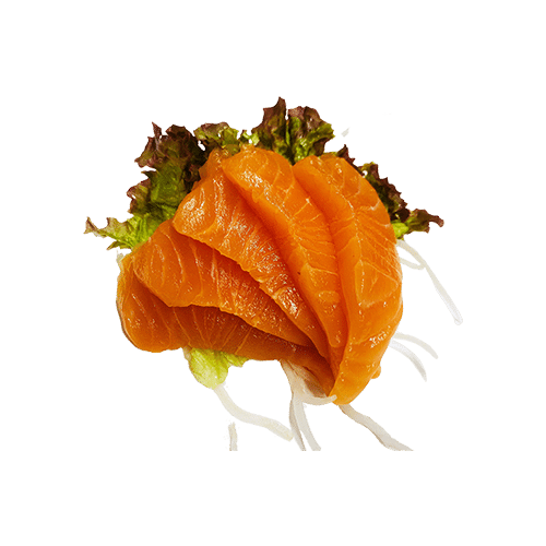 Sake sashimi