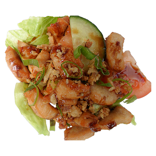Tori teriyaki