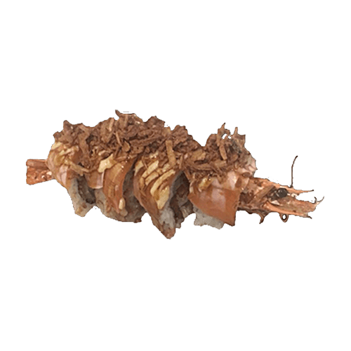 Flamed Zalm Dragon Special maki 4 stuks