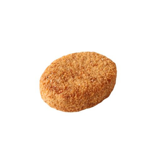 Nasischijf