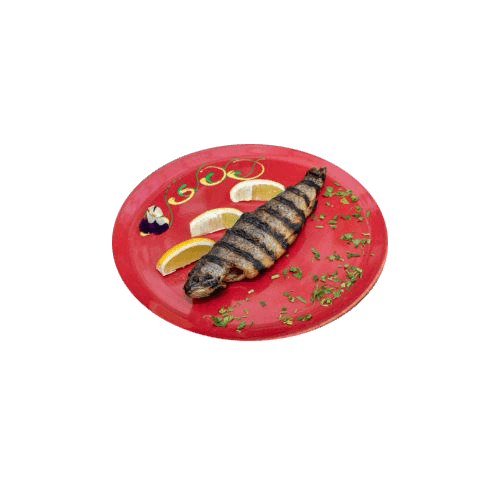 Grilled trout